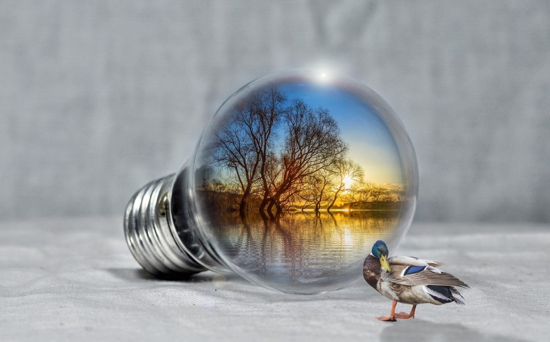ahorro energético