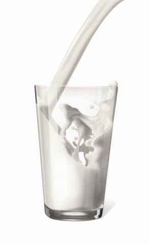 La Leche en la Dieta