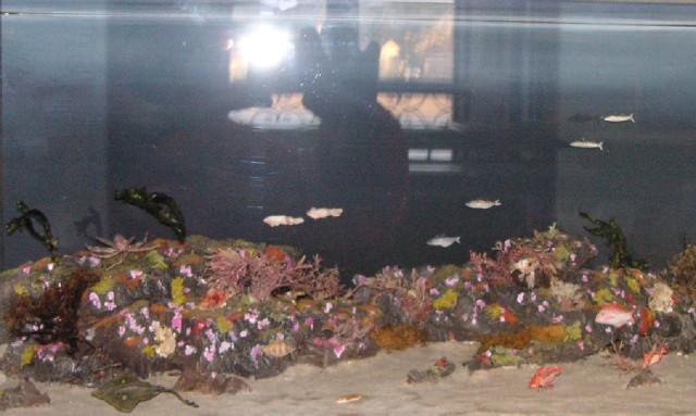 El Hogar de los Peces