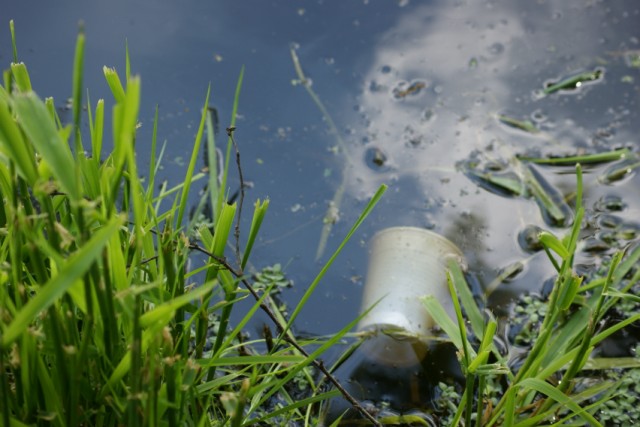 El Agua y la Basura