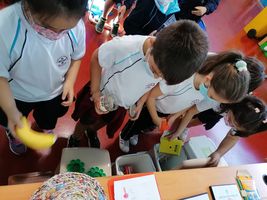 señor de los bosques