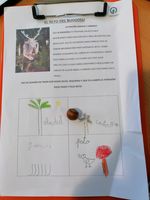 señor de los bosques