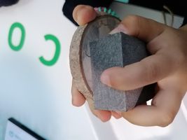 señor de los bosques