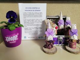 Cooperativa Solidaria en Acción