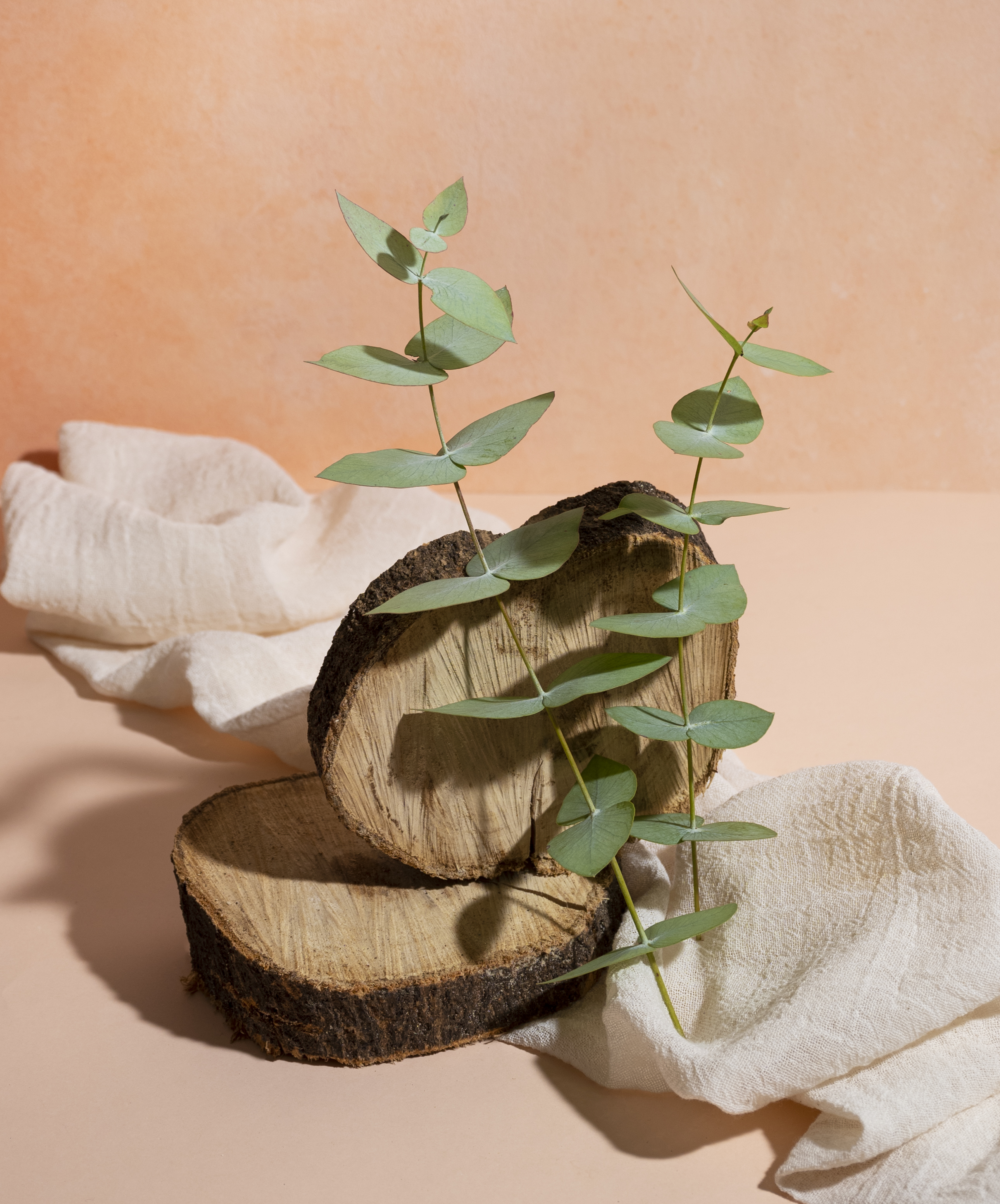 Imagen - Fibras sostenibles, moda respetuosa con el entorno