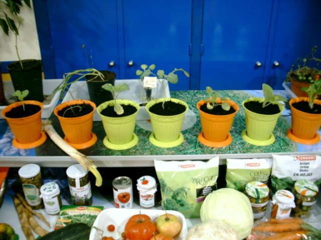 De la Huerta al Supermercado