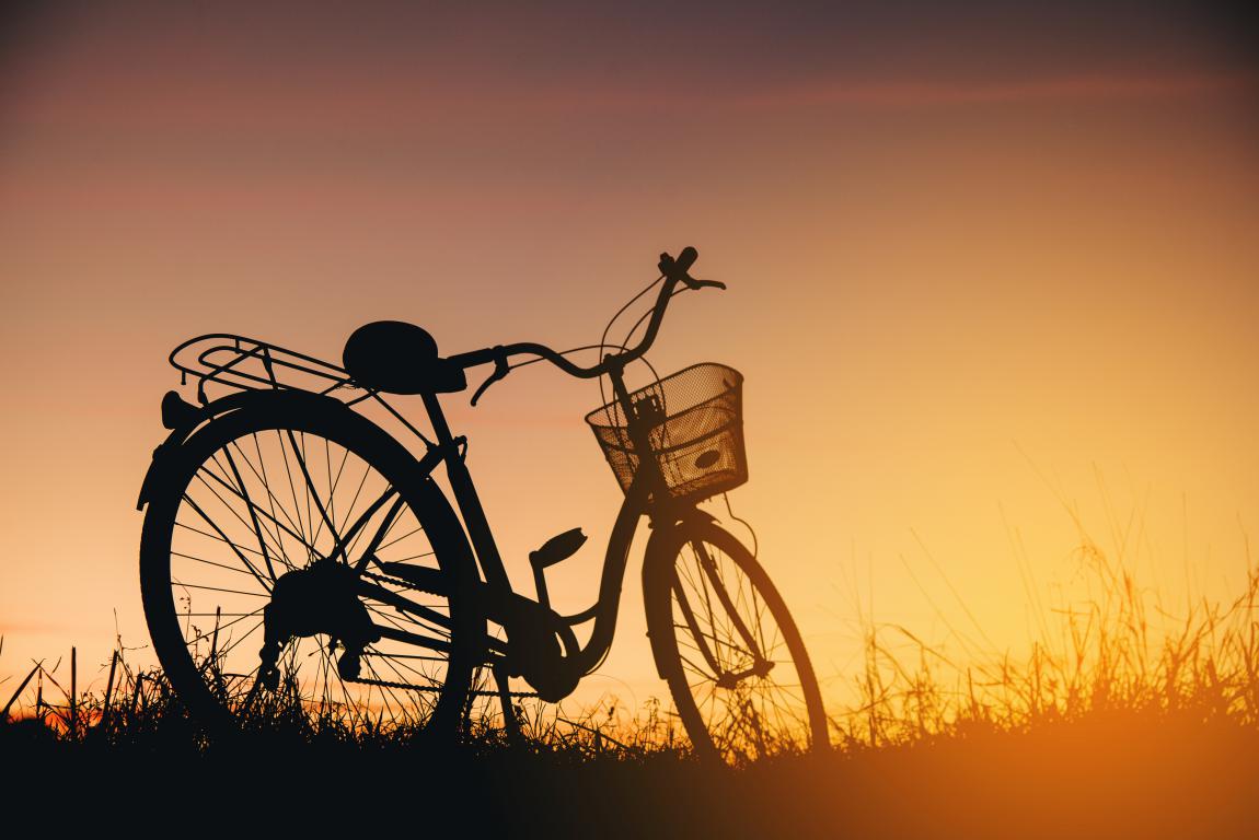 Imagen - La importancia de la bicicleta