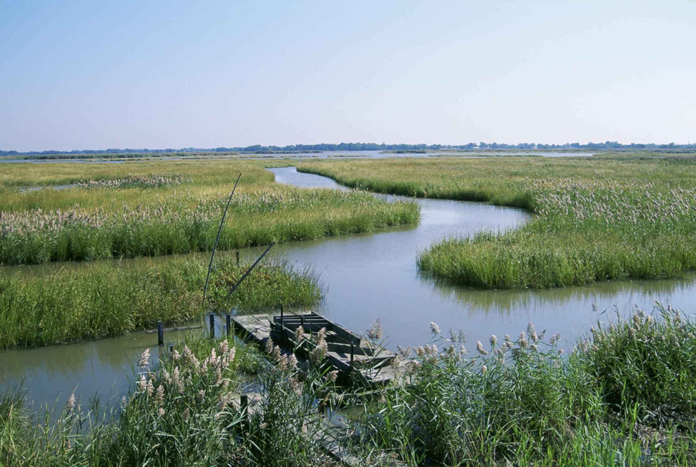 Imagen - Humedales. Un valor incalculable para el planeta