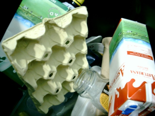 El Tren de la Basura